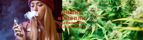 амф Белокуриха