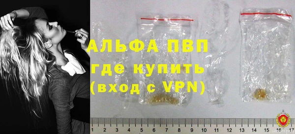 индика Богданович